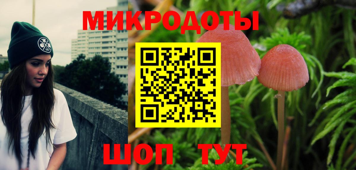 Урус-Мартан  Псилоцибиновые грибы мицелий  Вход с VPN 