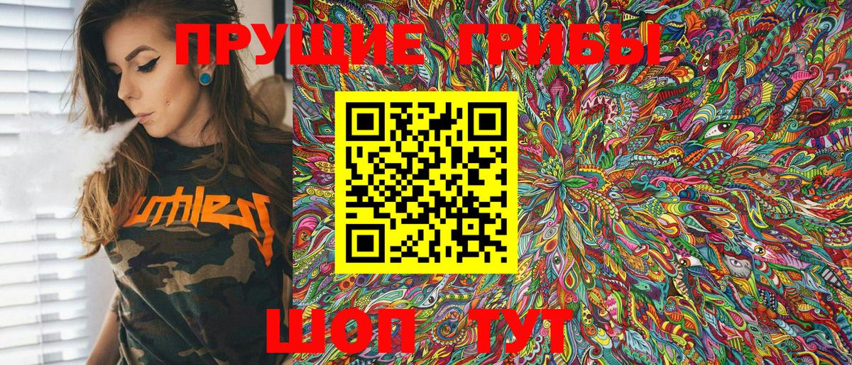 Галлюциногенные грибы Psilocybe Урус-Мартан